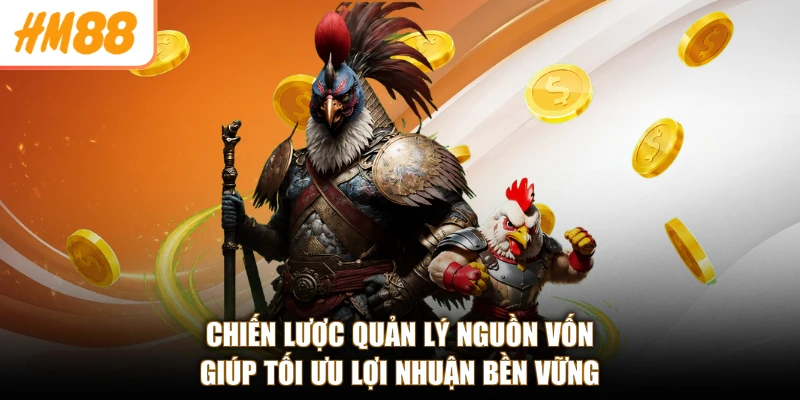 Chiến lược quản lý nguồn vốn giúp tối ưu lợi nhuận bền vững