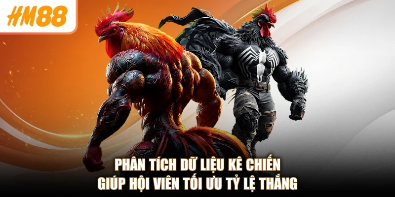 Đá Gà Cựa Sắt Miền Tây Cùng HM88 - Kịch Tính, Thắng Lớn 4 Phân tích dữ liệu kê chiến giúp hội viên tối ưu tỷ lệ thắng