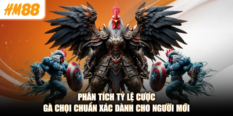 Phân tích tỷ lệ cược gà chọi chuẩn xác dành cho người mới