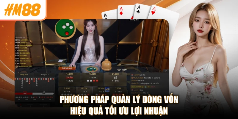 Phương pháp quản lý dòng vốn hiệu quả tối ưu lợi nhuận